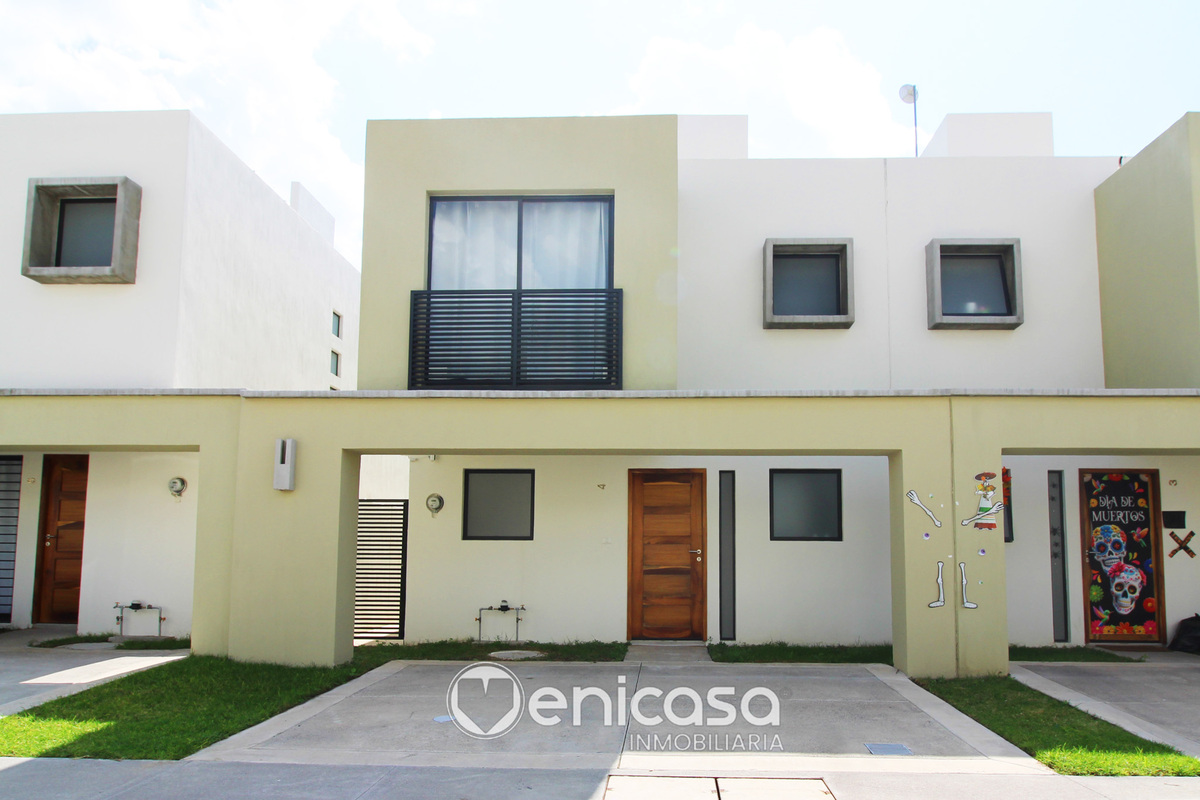 2 de 31: IMG_3983.jpg