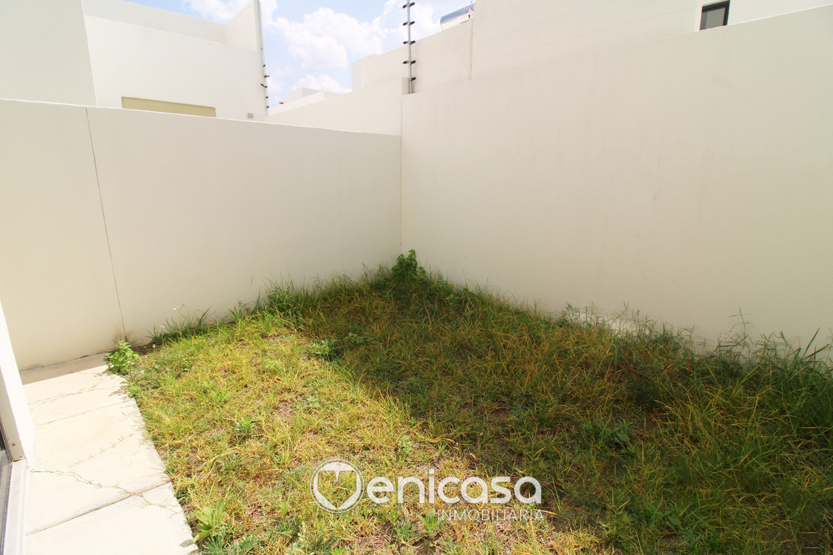 24 de 31: IMG_3914.jpg