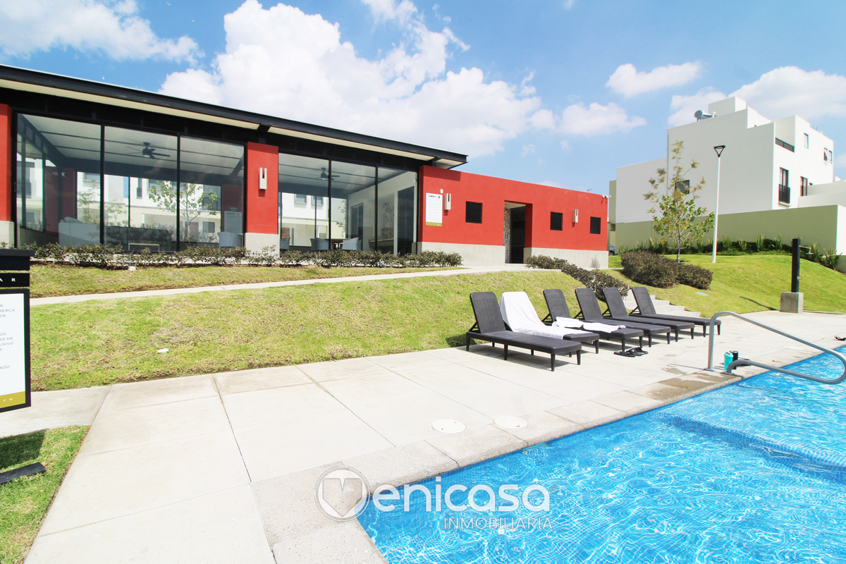 26 de 31: IMG_3963.jpg