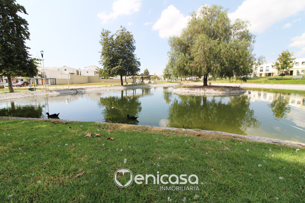 31 de 31: IMG_4023.jpg