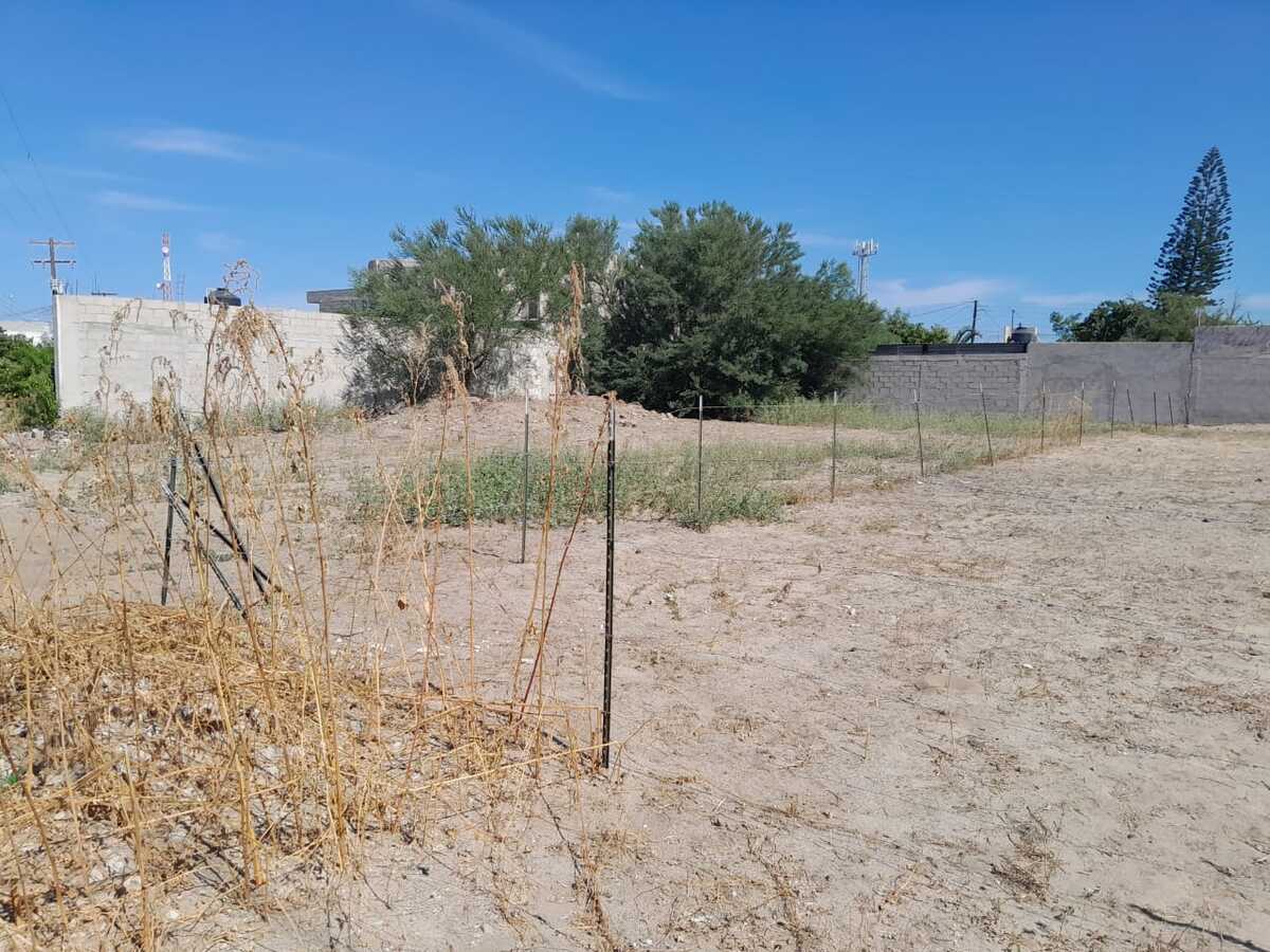 8 of 11: TABACHINES EN RENTA, LA PAZ