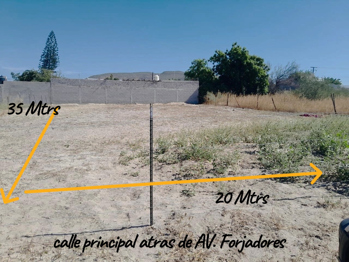 2 of 11: TABACHINES EN RENTA, LA PAZ