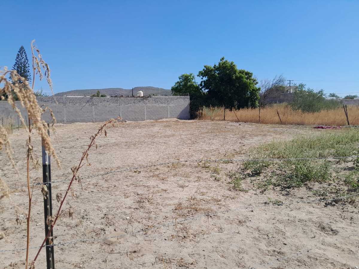 1 de 11: TABACHINES EN RENTA, LA PAZ