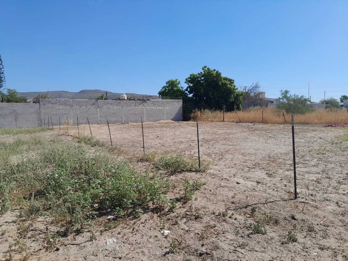 3 de 11: TABACHINES EN RENTA, LA PAZ