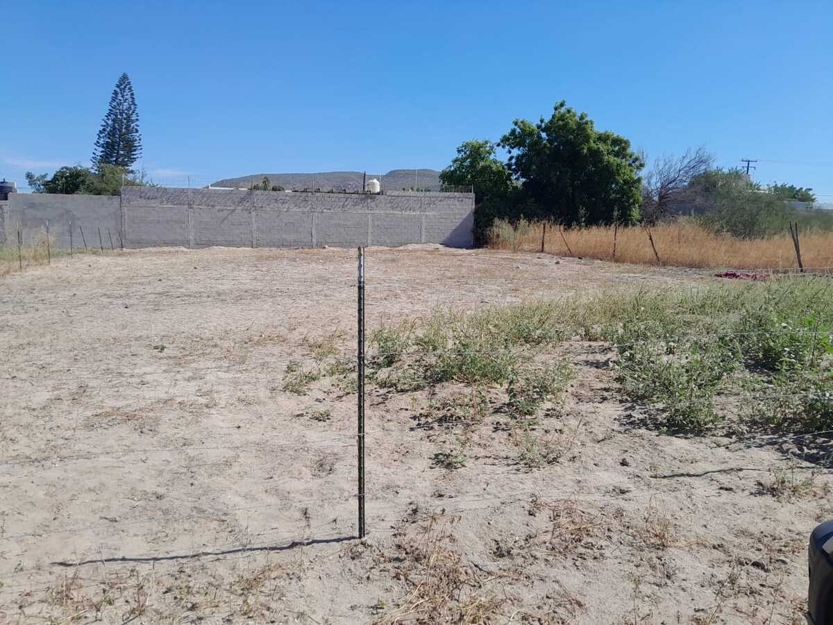 6 de 11: TABACHINES EN RENTA, LA PAZ