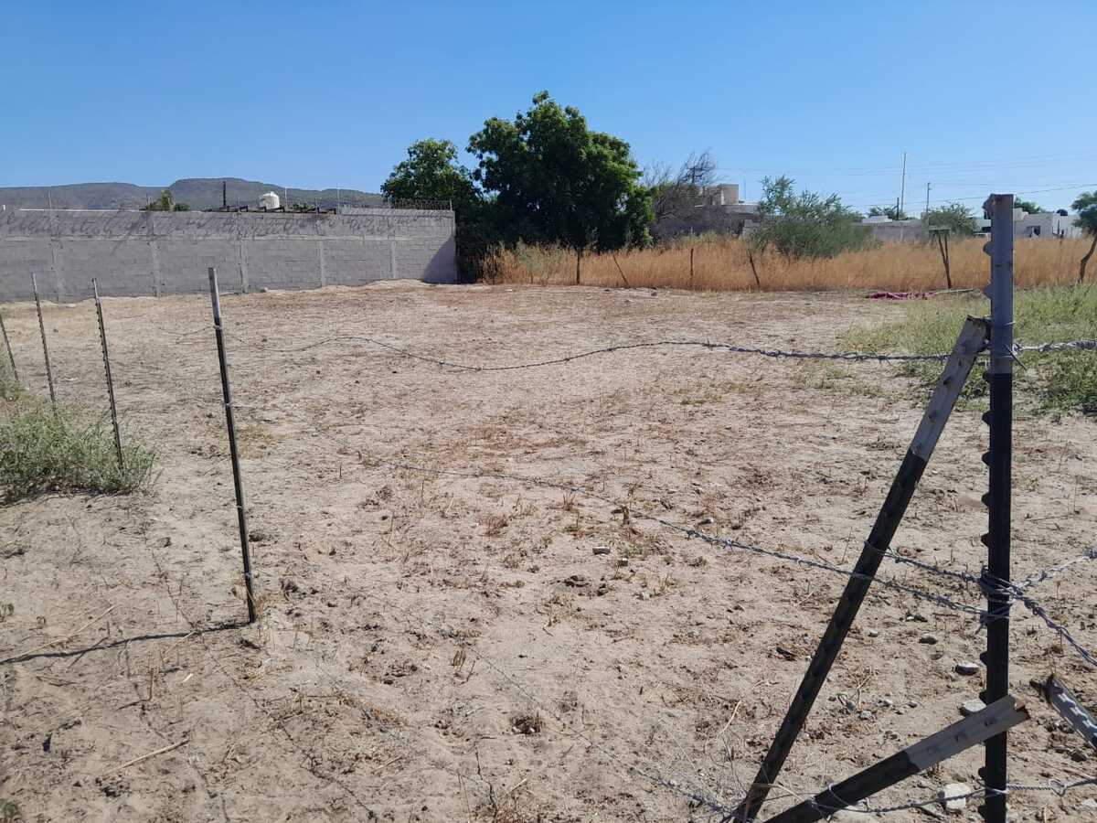 9 de 11: TABACHINES EN RENTA, LA PAZ