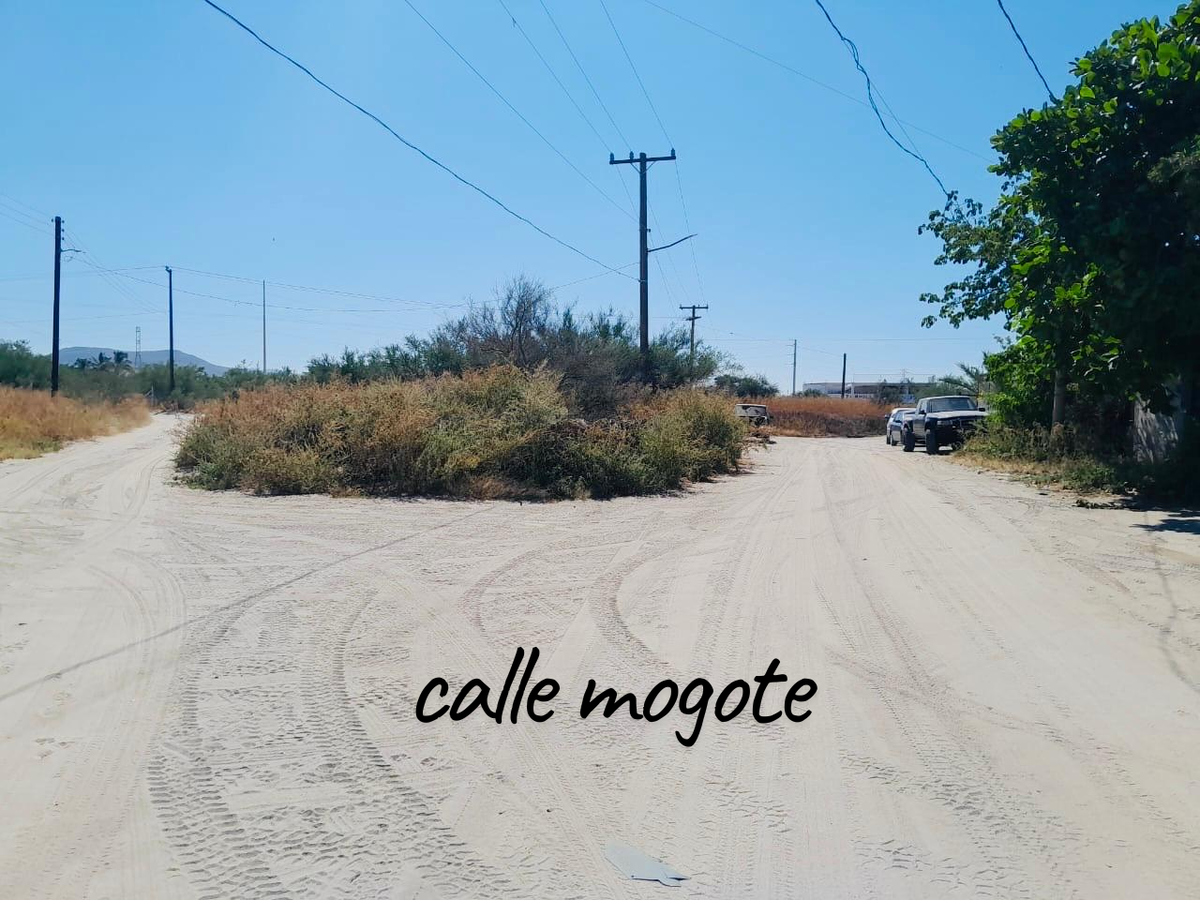 11 de 11: TABACHINES EN RENTA, LA PAZ