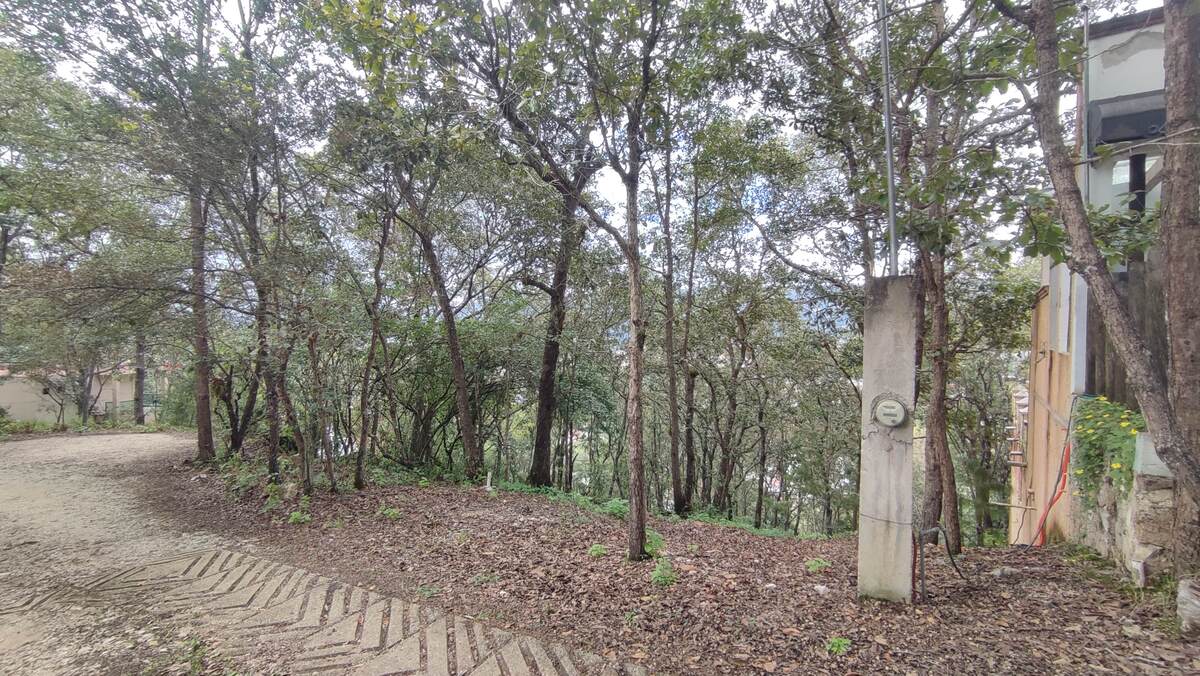 3 de 13: Frente y calle de acceso