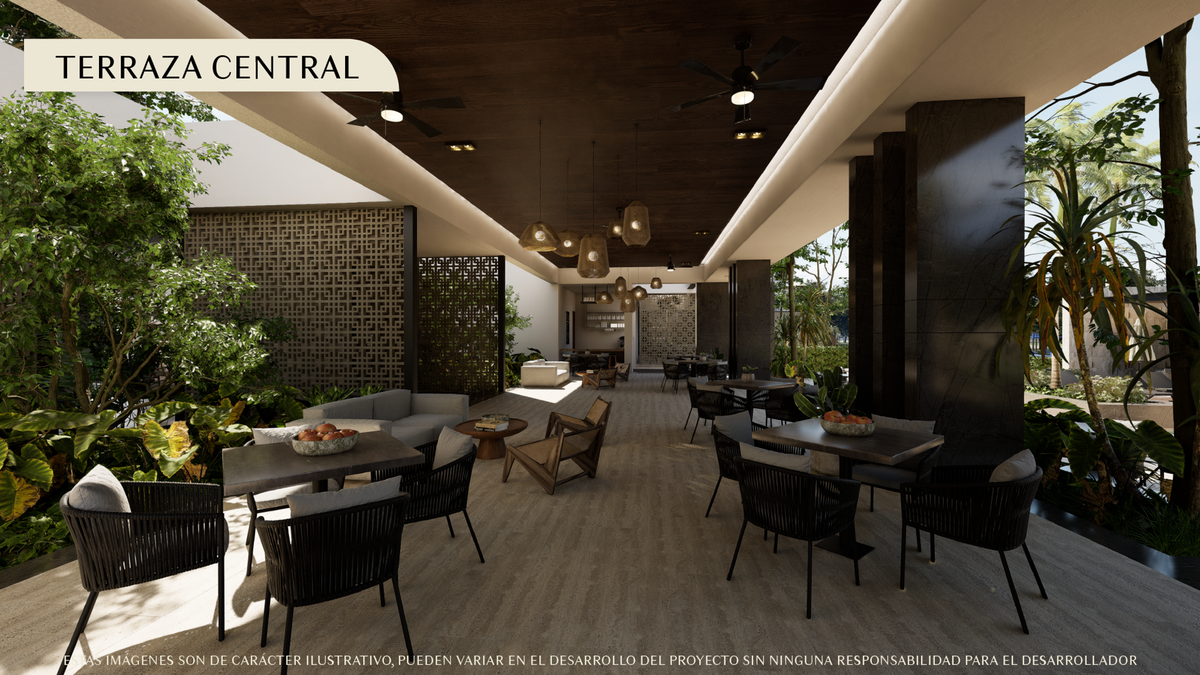 7 de 12: Terraza Central