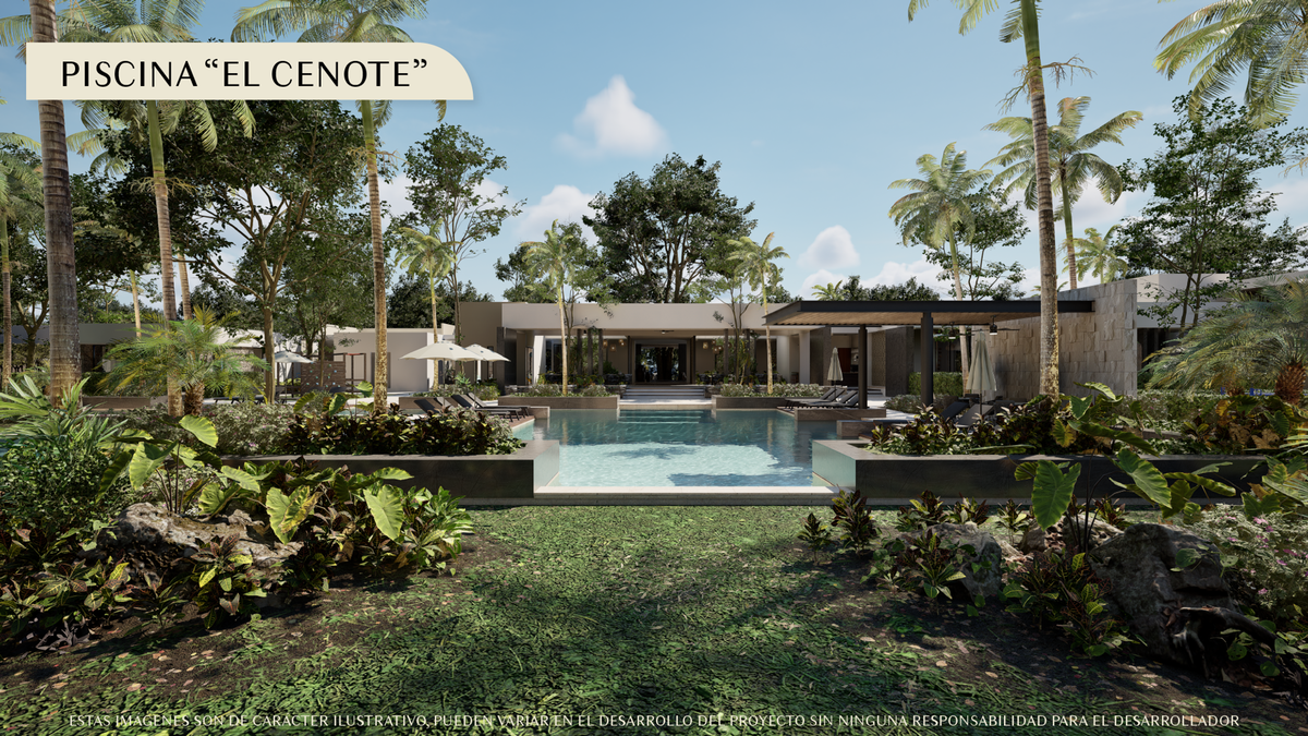 11 de 12: Alberca el Cenote