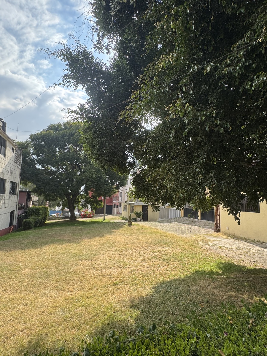 19 of 21: Jardín común para 6 casas