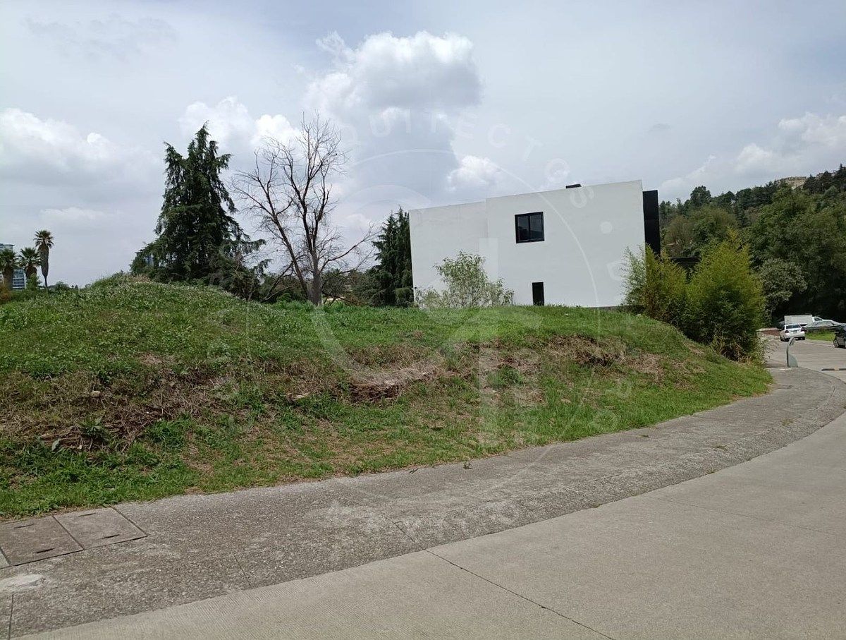 Last Land in Isla del Río, Bosque Real - foto 4