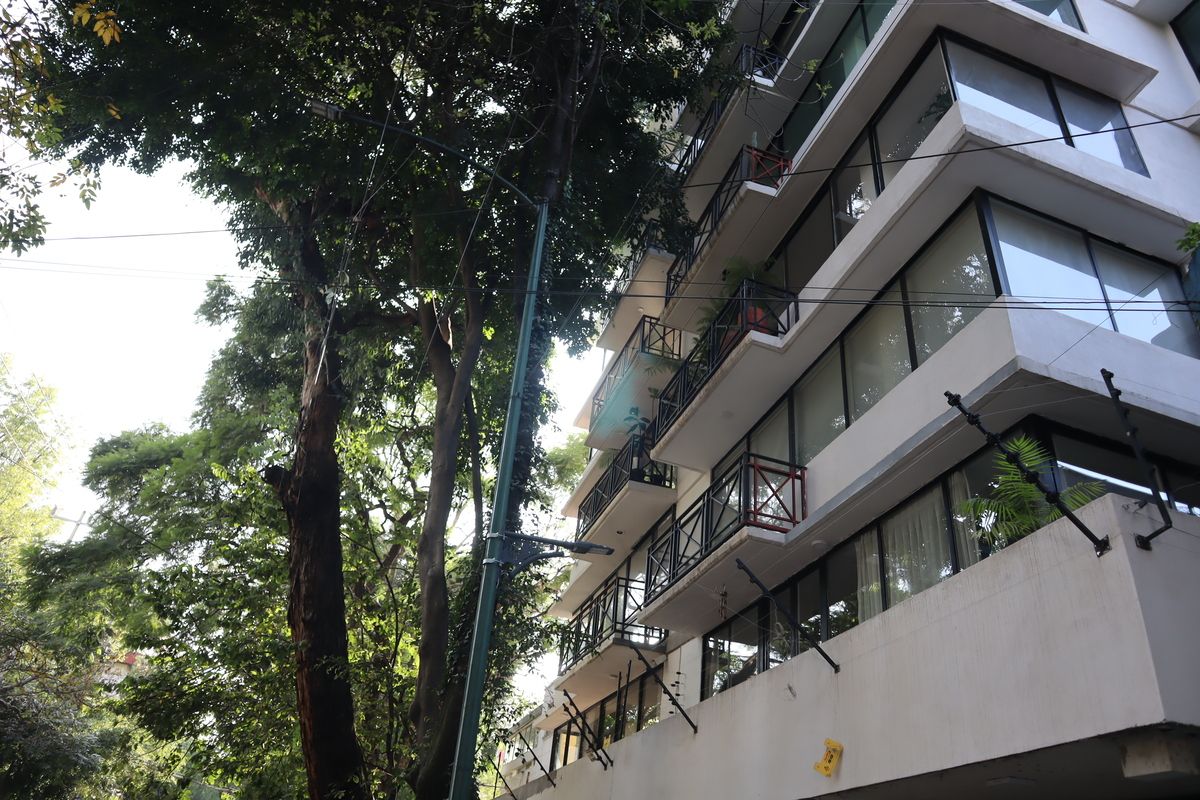 16 of 18: calle arbolada