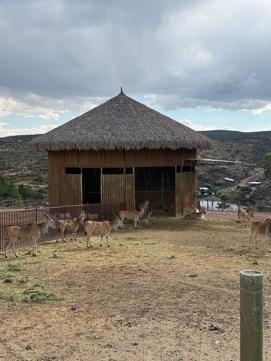 Terreno en La Estancia, Aguascalientes, foto 19 de 28