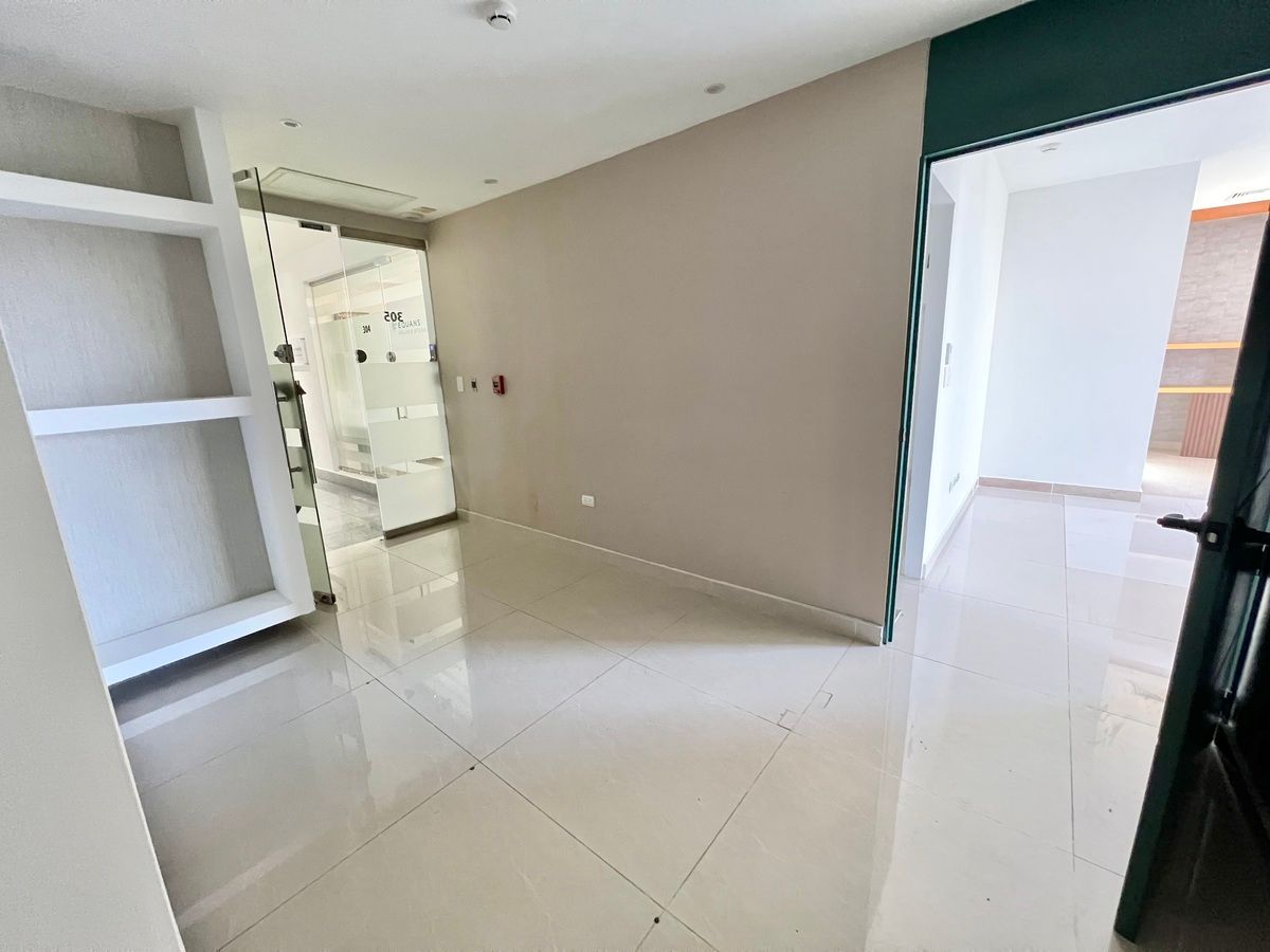 Oficina en El Millón, Santo Domingo Centro (Distrito Nacional), foto 8 de 11