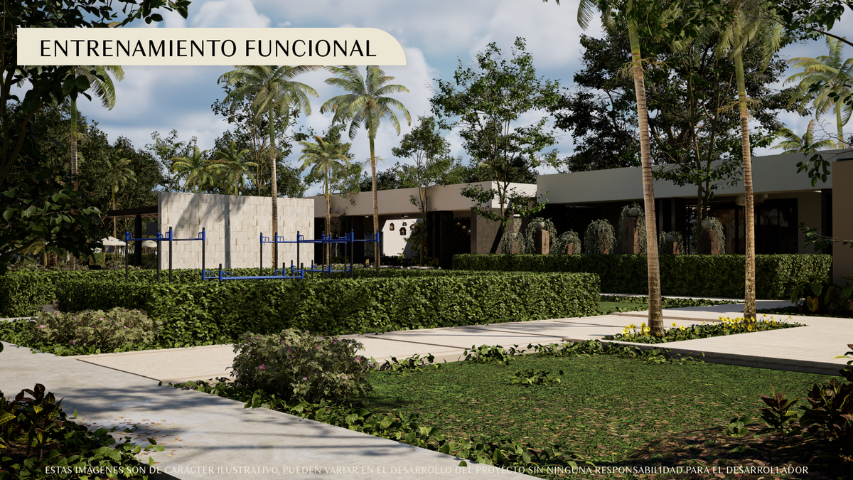 10 de 12: Entrenamiento Funcional