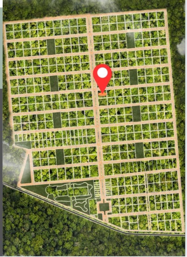 7 de 8: Ubicación terreno