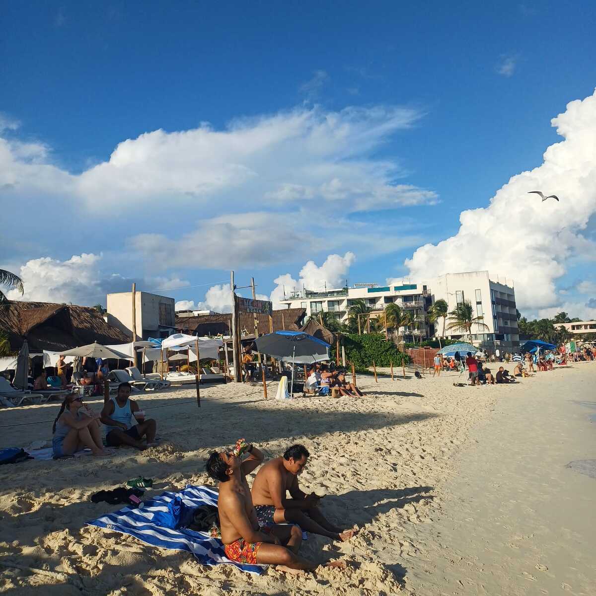 2 de 4: Terrenos con concesión Federal