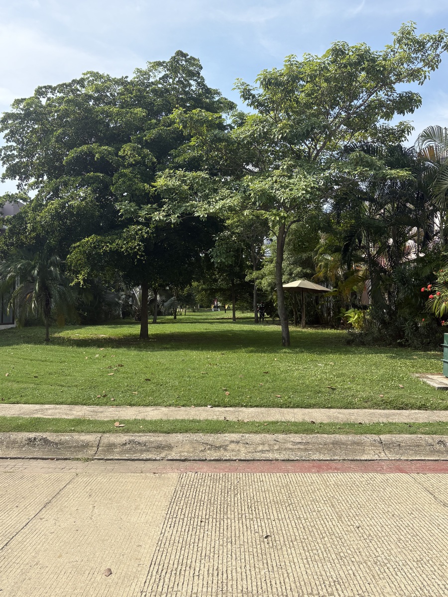 33 of 40: ÁREA DE JARDÍN COLINDADANTE CON LA CASA