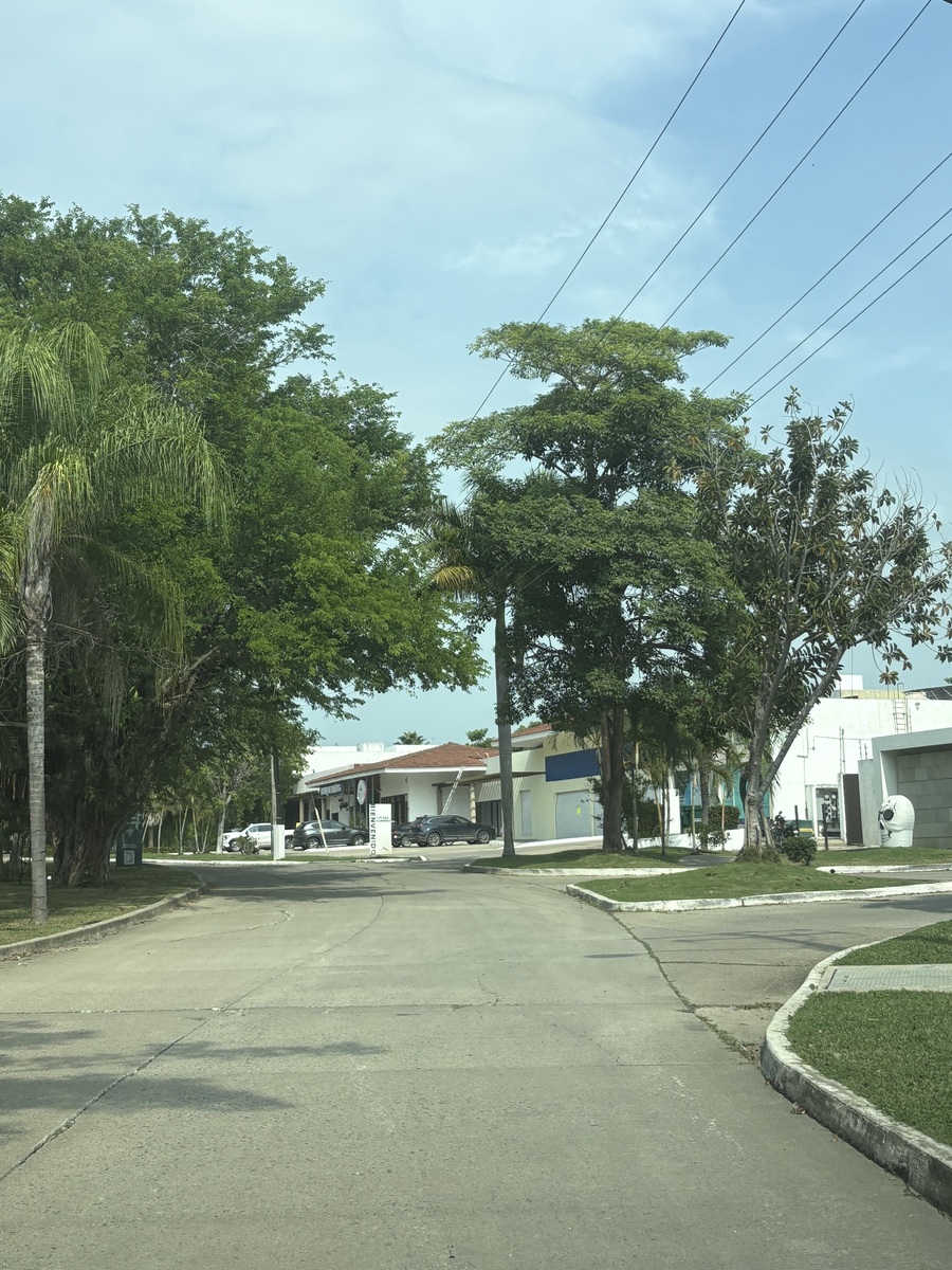 36 of 40: CALLE DE ACCESO