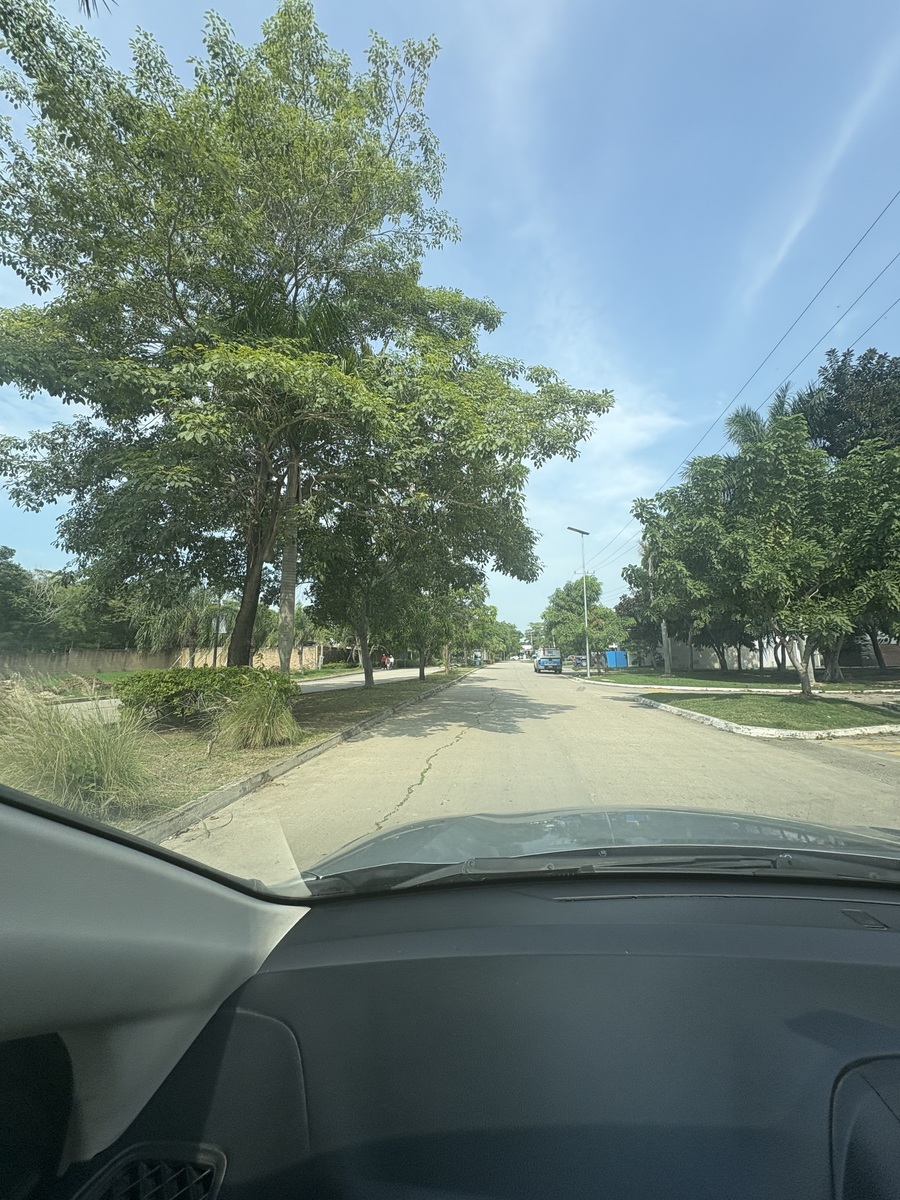 37 of 40: RECORRIENDO ALTOZANO