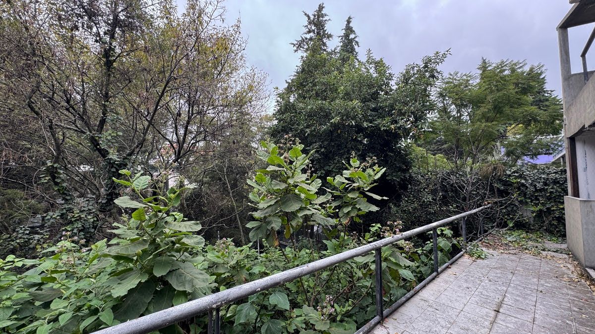Terreno en venta Lomas de Bezares, Miguel Hidalgo - Con uso de suelo - foto 2