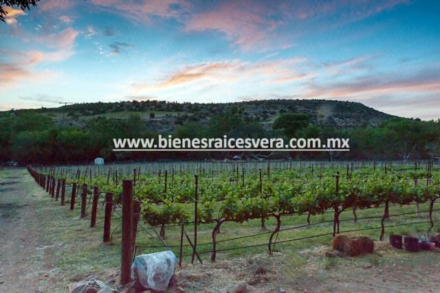 Terreno en Venta en Tequisquiapan. Pascual