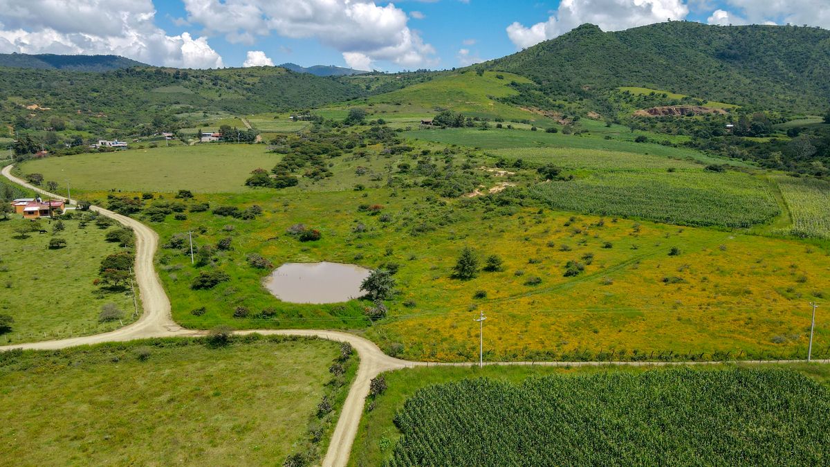 Terreno La Frontera en Tapalpa, BAJA DE PRECIO! - foto 3