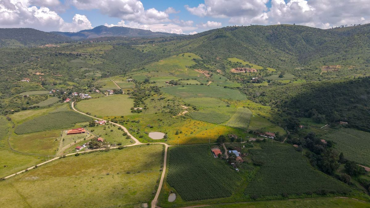 Terreno La Frontera en Tapalpa, BAJA DE PRECIO! - foto 4