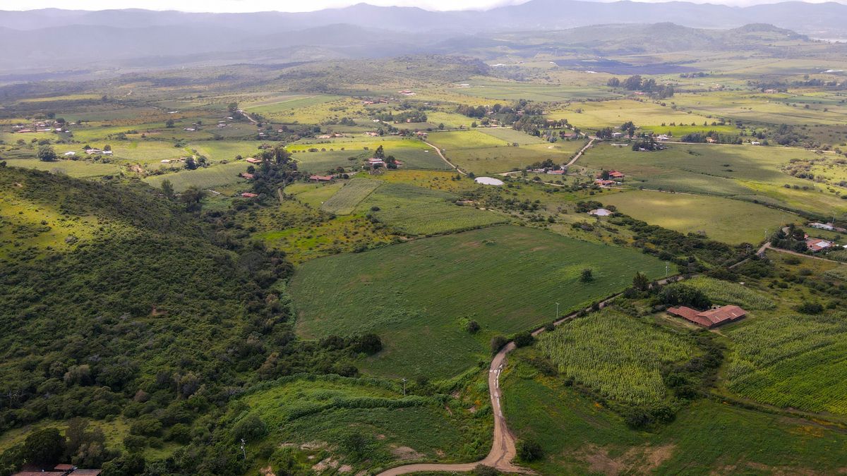 Terreno La Frontera en Tapalpa, BAJA DE PRECIO! - foto 5