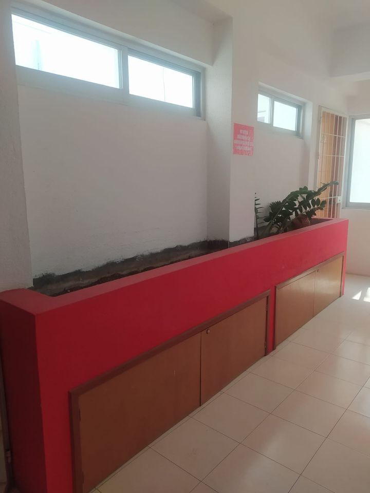 12 of 14: JARDINERA EN PASILLO