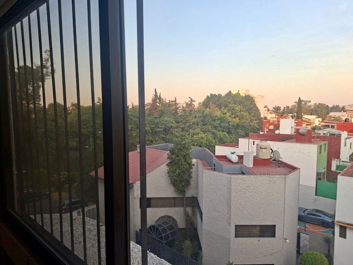 3 de 14: Vista arbolada