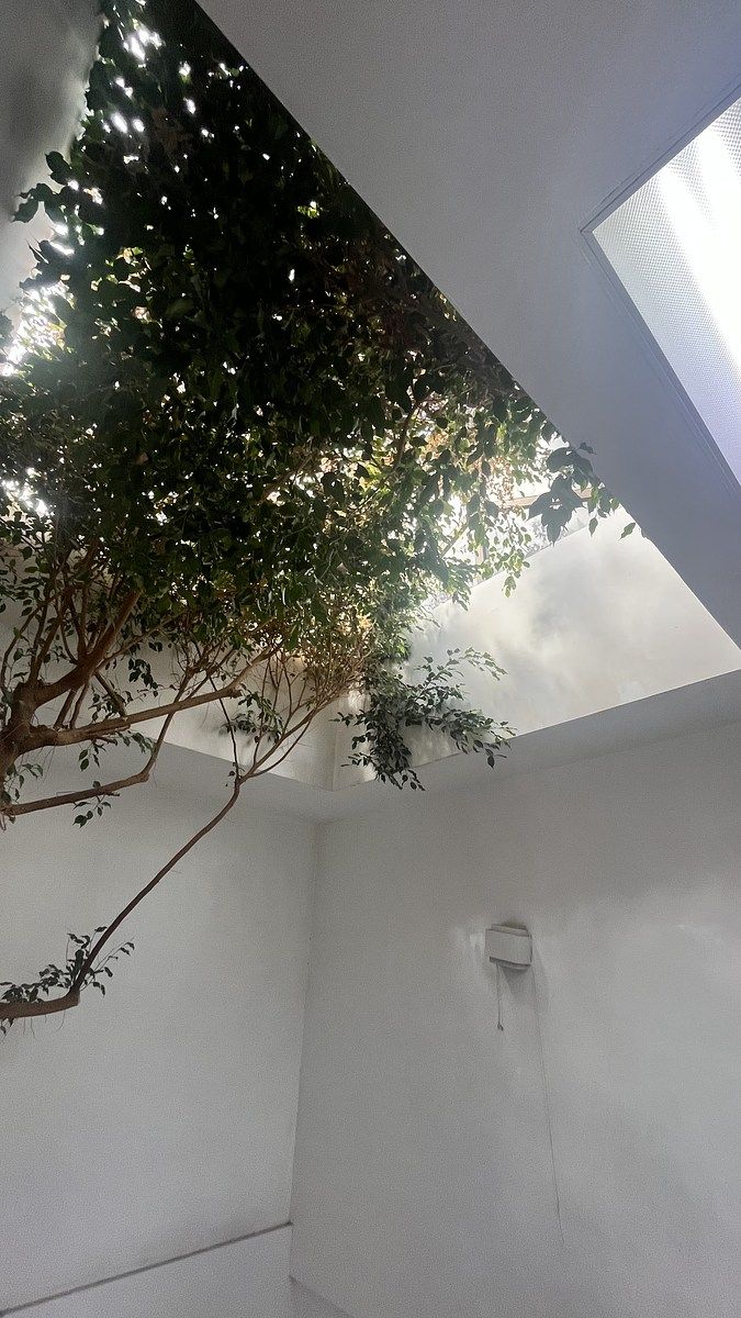 11 de 24: Domo interior