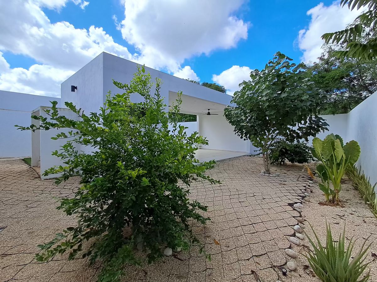 11 de 14: Espacio  limpio Para Ampliar Construccion , Con Bano ya echo