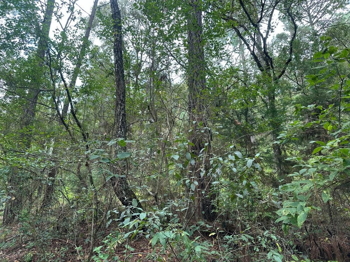 Terreno en Corral de Piedra en venta