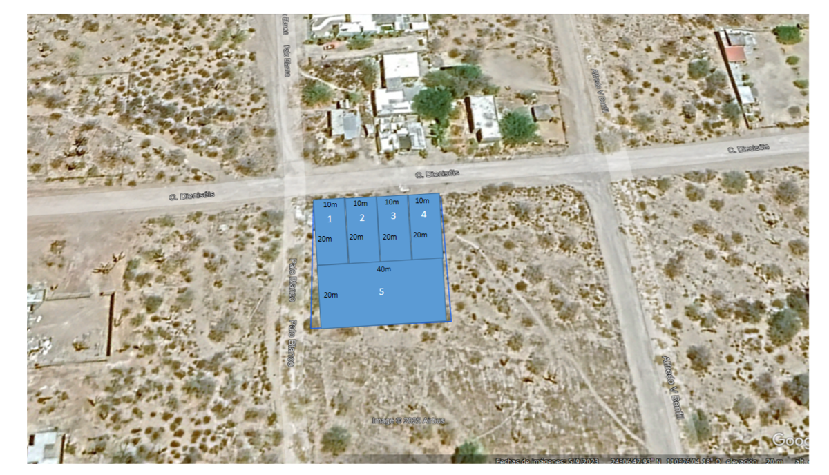 2 de 8: Lotificacion