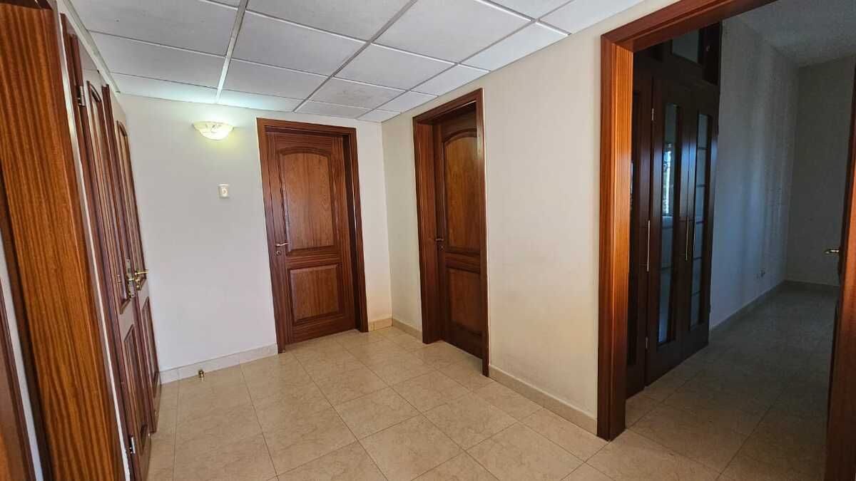 13 de 41: Distribuidor