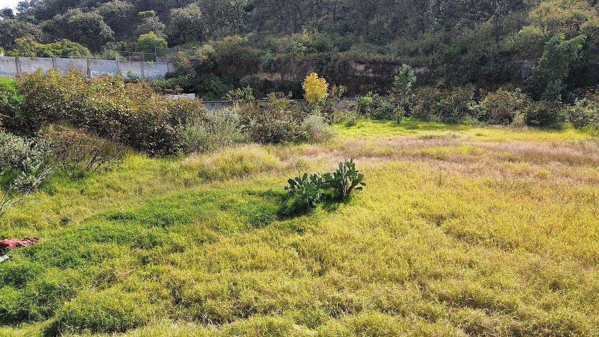 Terreno en Santa Ana Tepetitlán, Zapopan, foto 3 de 8