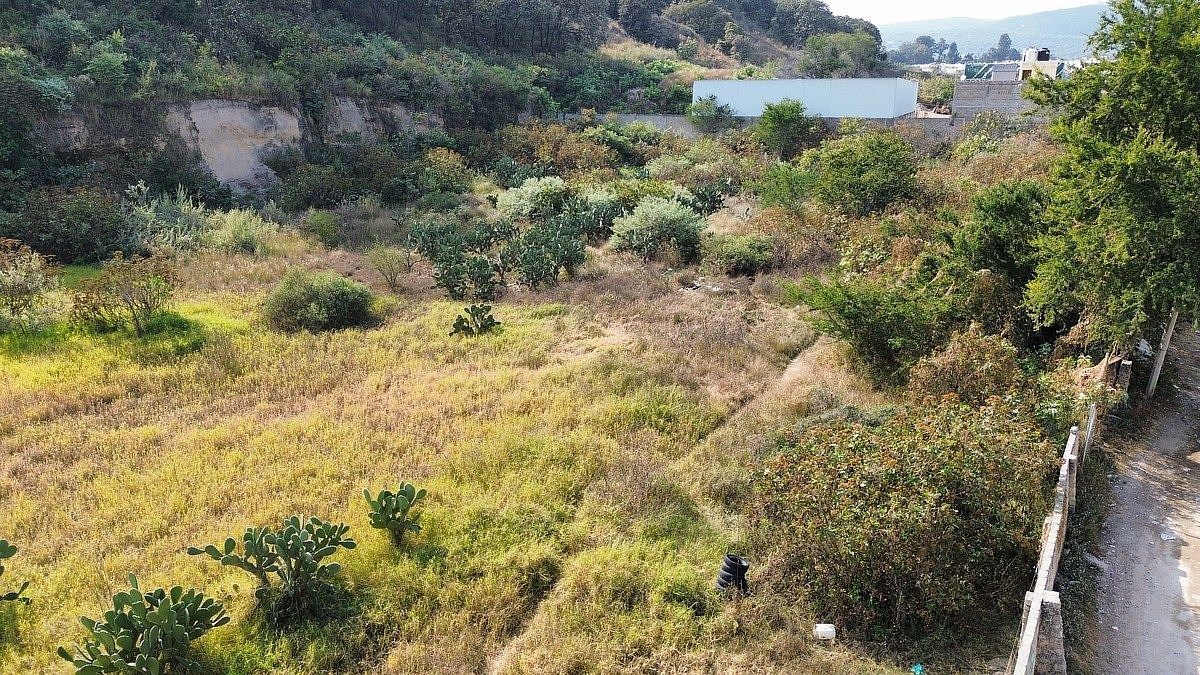 Terreno en Santa Ana Tepetitlán, Zapopan, foto 6 de 8
