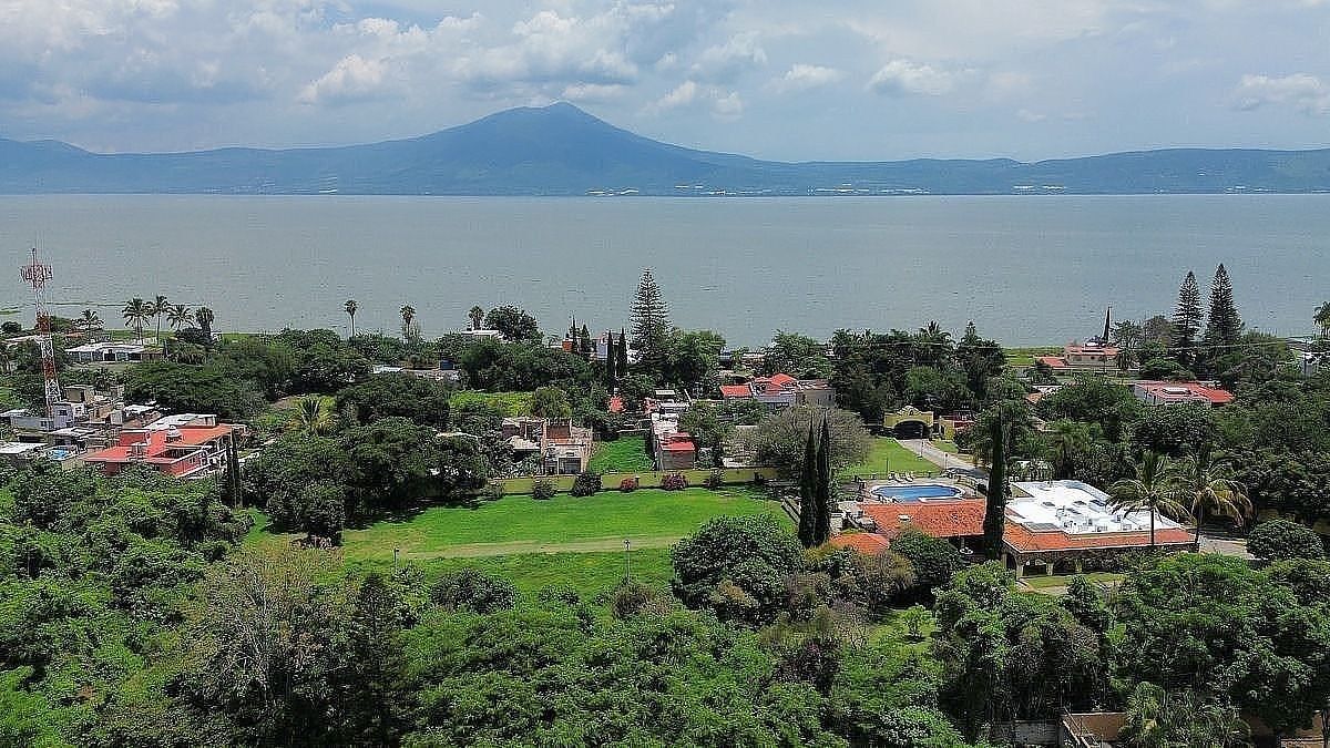 10 de 14