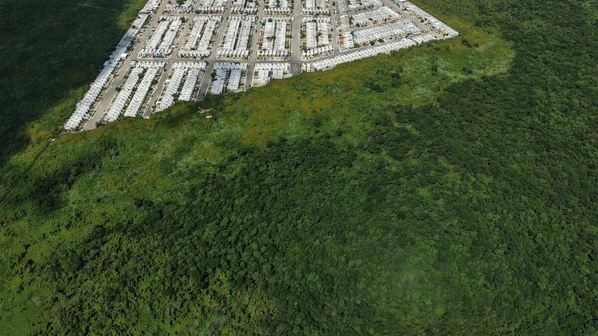 2 de 5: TERRENO 36 HECTAREAS