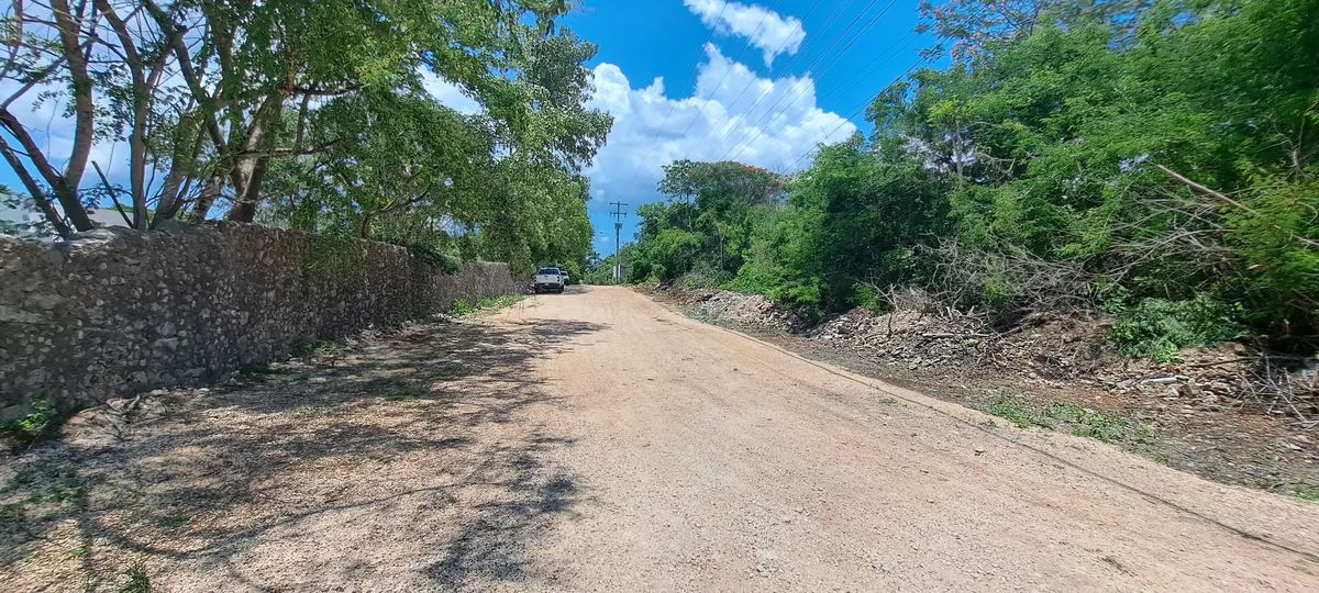 6 de 9: Avance de Obra