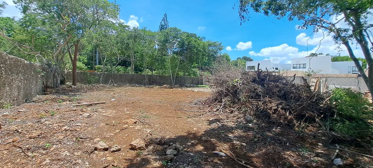 8 de 9: Avance de Obra