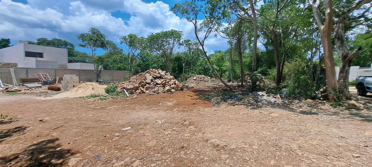 7 de 9: Avance de Obra