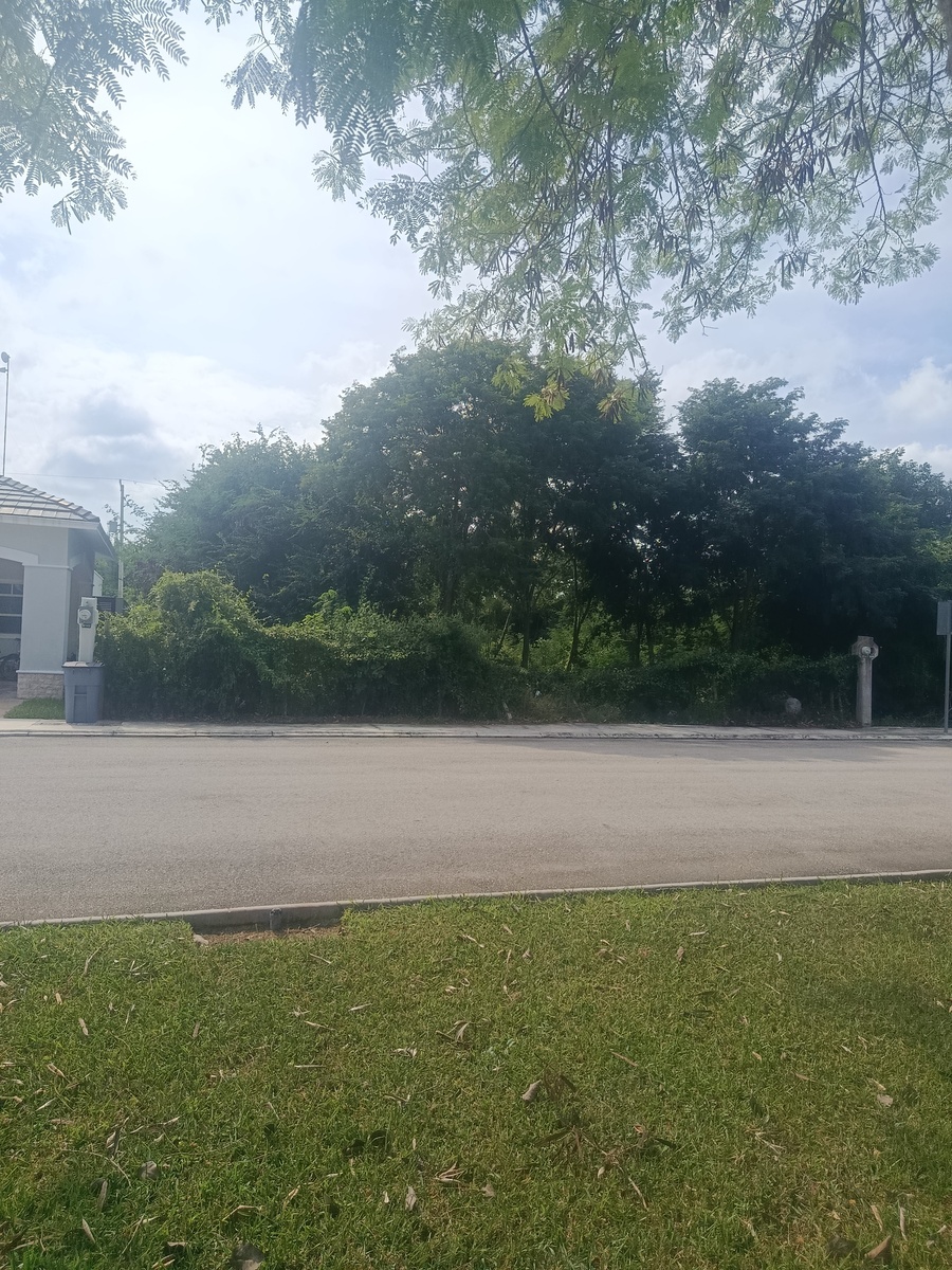 2 de 7: Frente del lote