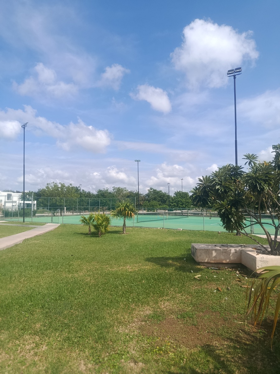 3 de 7: Cancha de tenis