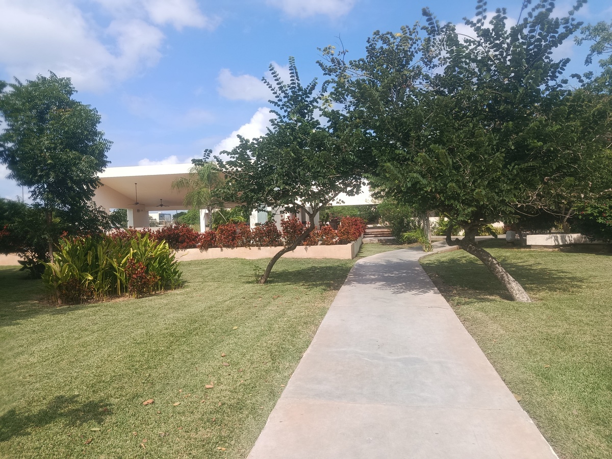 4 de 7: Andadores casa club