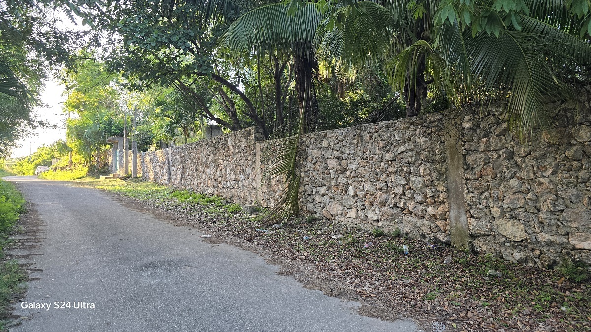 1 of 12: Vista de la barda perimetral de la propiedad