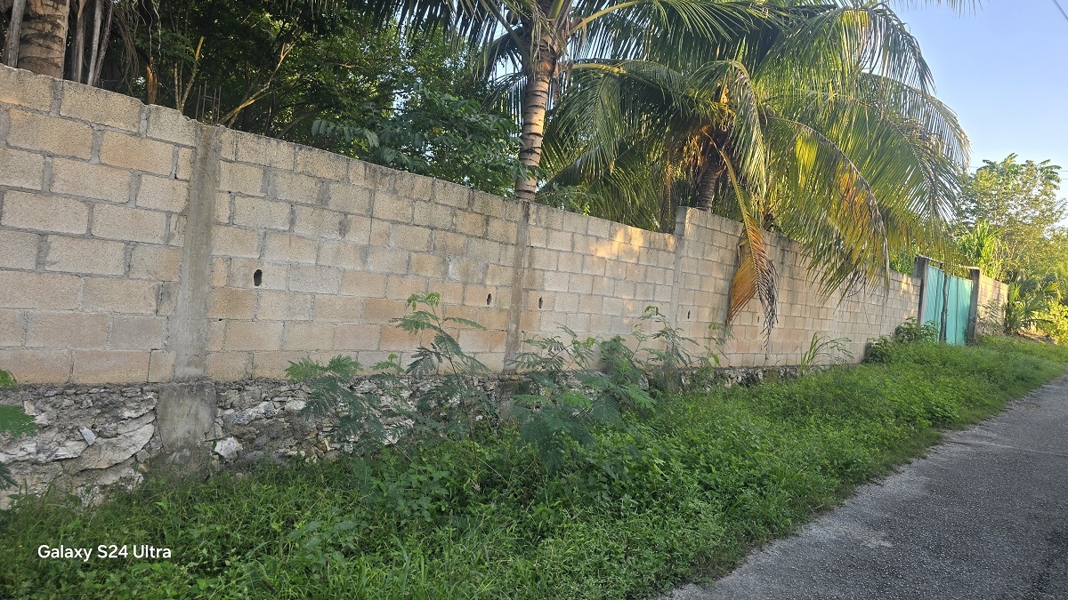 3 of 12: Nueva vista de la barda, se aprecia los Blocs