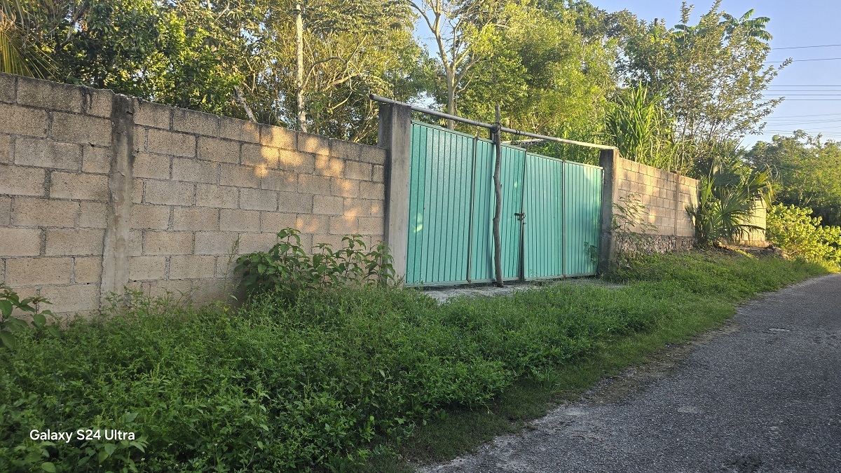 4 of 12: barda donde se ubica la puerta de entrada al predio